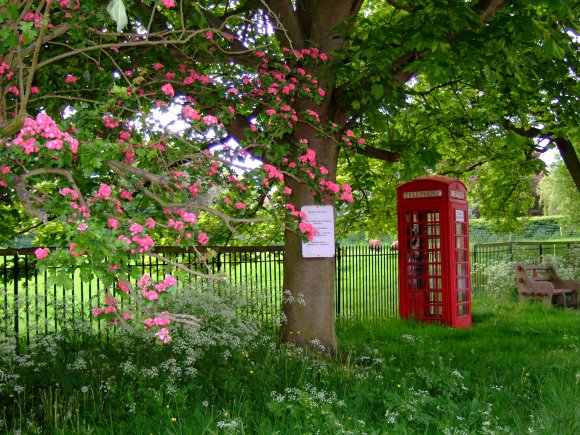 Looking past the Telephone Box Book Exchange towards Banks Field on Main St in Burton Overy