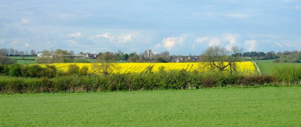 View of Burton Overy from the fields